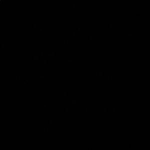 Meet your Posher, Carla